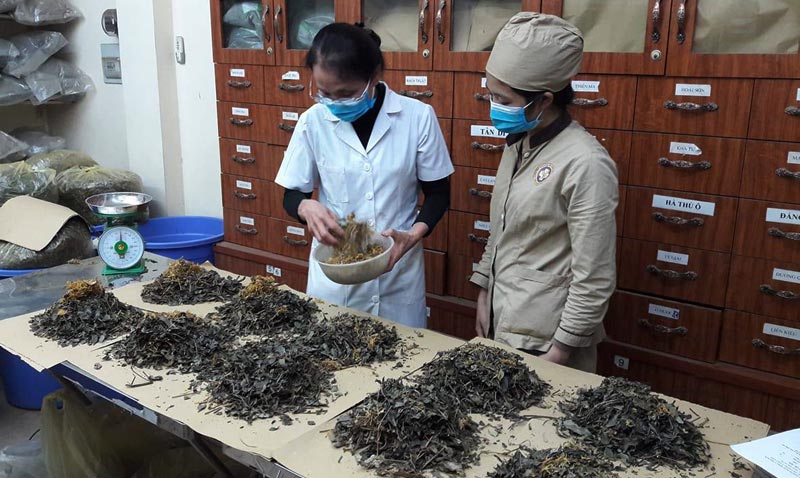 Thảo dược cho bài thuốc đảm bảo sạch và kiểm định nghiêm ngặt về độc tính, dược tính