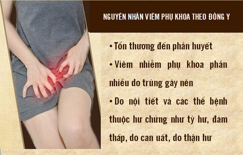 Nguyên nhân viêm phụ khoa theo Đông y Nguyên nhân viêm phụ khoa theo Đông y