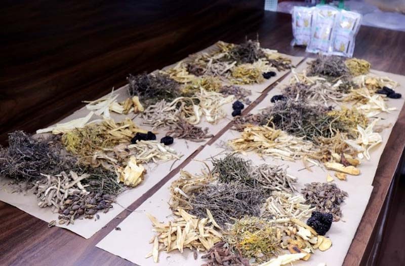 Bài thuốc Phụ Khang tán được nghiên cứu kỹ lưỡng Bài thuốc Phụ Khang tán được nghiên cứu kỹ lưỡng