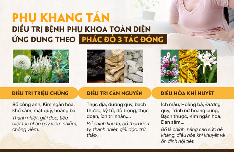 Phác đồ điều trị bệnh phụ khoa 3 giai đoạn từ Phụ Khang Tán, hiệu quả TOÀN DIỆN