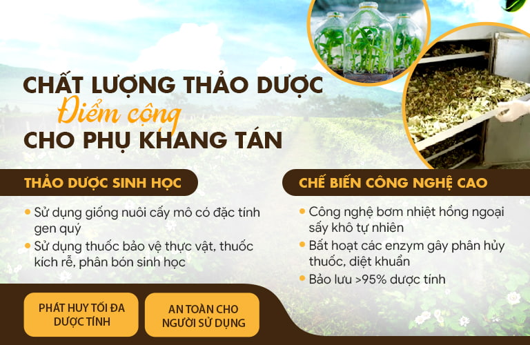 Chất lượng thảo dược đạt chuẩn, nồng độ dược chất cao