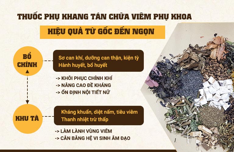 Phụ Khang Tán điều trị bệnh TOÀN DIỆN nhờ cơ chế Bổ chính - Khu tà