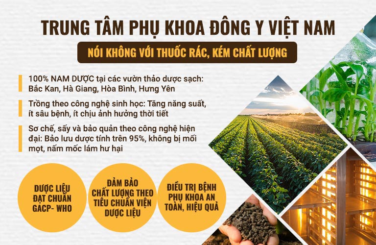 Thuốc ở Trung tâm hoàn toàn được kiểm soát về chất lượng