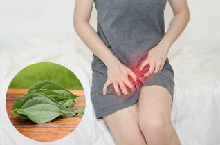 2 mẹo chữa viêm âm đạo bằng lá trầu không hiệu quả ít người biết