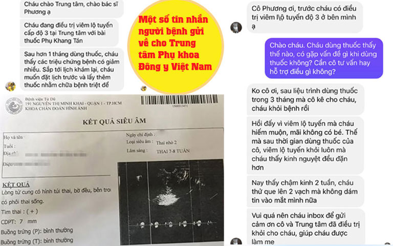 Bài thuốc giúp ổn định kinh nguyệt, điều trị các bệnh lý phụ khoa, khôi phục khả năng sinh sản cho chị em