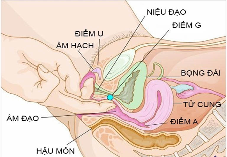 Sử dụng thuốc kháng sinh đặt vào âm đạo là phương pháp trị bệnh phổ biến nhất hiện nay.