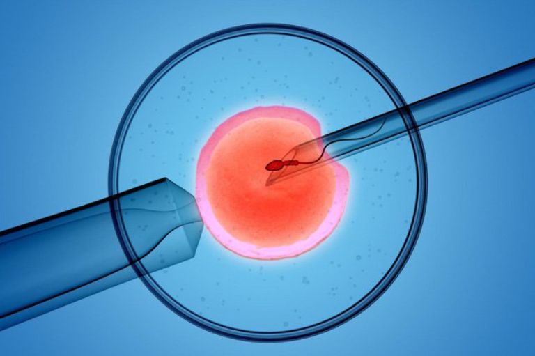 IVF giúp có con khi không thể mang thai tự nhiên