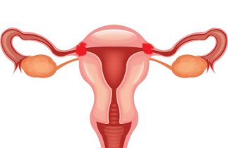 Tắc kẽ vòi trứng là vị trí khó điều trị bởi nằm sâu phía trong