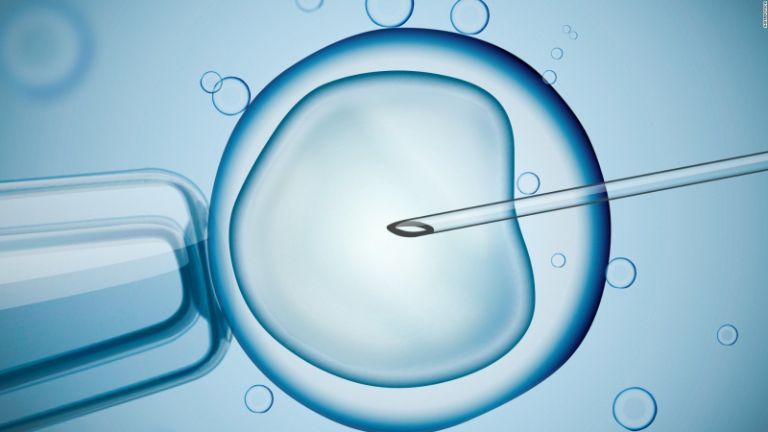 Theo IVF, trứng và tinh trùng chọn lọc được nuôi dưỡng trong môi trường ống nghiệm