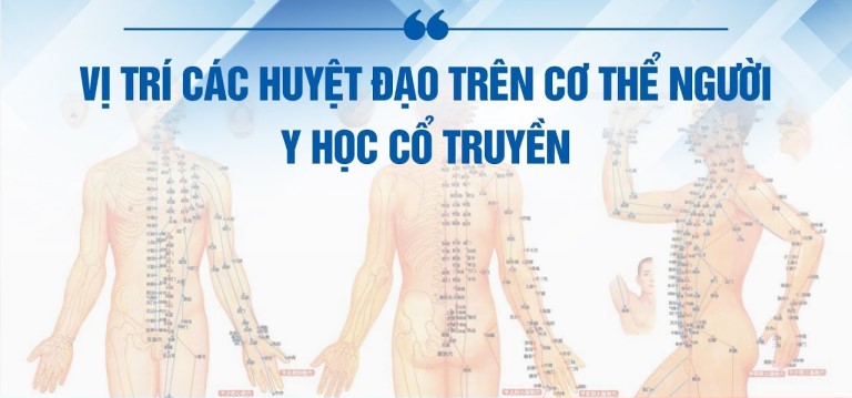 Lăn cầu gai đôi chữa tắc vòi trứng bằng cách tác động lên các nhóm huyệt quan trọng