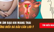 Nấm âm đạo khi mang thai: Những thông tin quan trọng mẹ bầu không nên bỏ quả