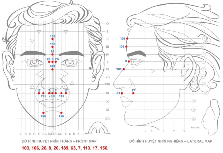 Sơ đồ một số vị trí huyệt quan trọng trên mặt