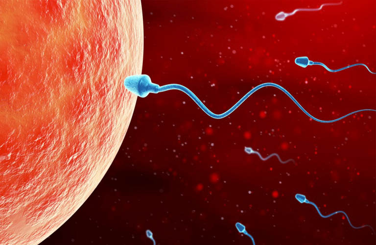 Rong kinh kéo dài gây cản trở quá trình thụ thai gây ra tình trạng hiếm muộn, vô sinh.