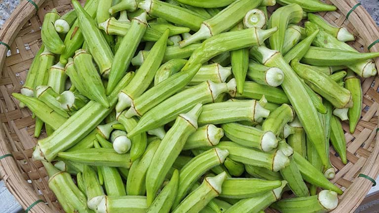 Cần sử dụng đậu bắp trong thời gian dài để thấy hiệu quả tốt nhất