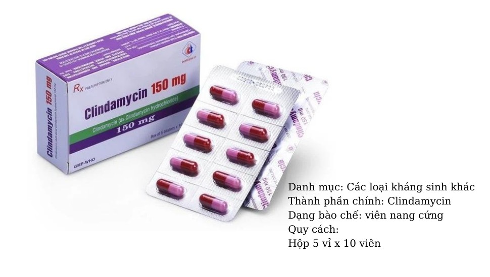 Thuốc phụ khoa Clindamycin