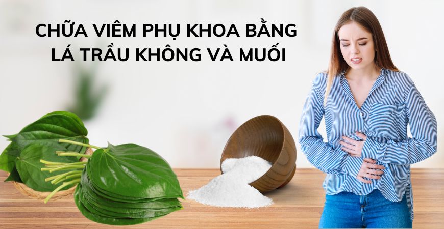 Lá trầu không và muối chữa viêm phụ khoa