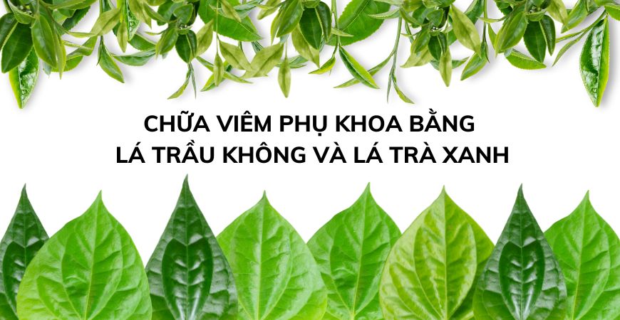 Lá trầu không và lá trà xanh