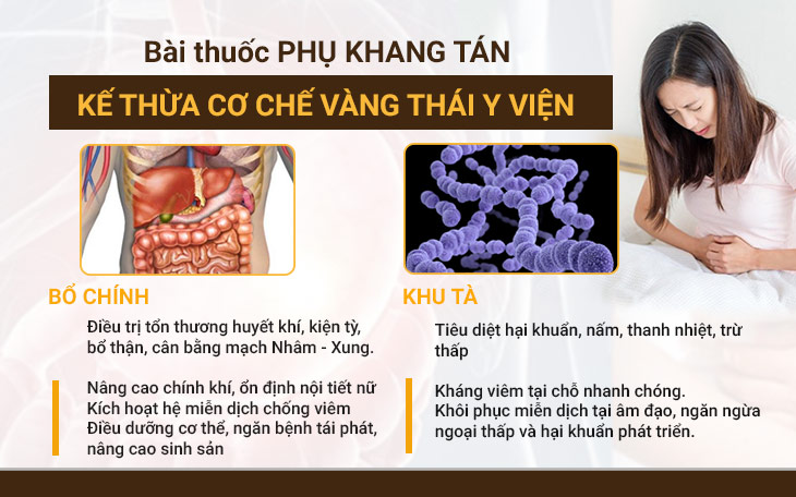 Cơ chế BỔ CHÍNH - KHU TÀ giúp Phụ Khang Tán điều trị bệnh huyết trắng hiệu quả