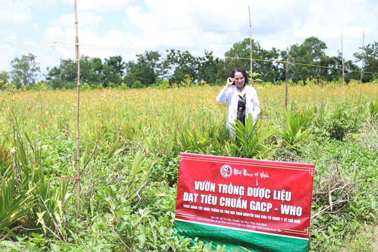 Trung tâm Phụ khoa Đông y Việt Nam chú trọng phát triển các vườn dược liệu sạch đạt chuẩn GACP-WHO để chủ động về nguồn thảo dược