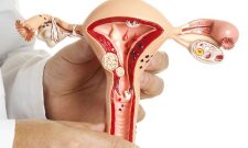 Xử lý lạc nội mạc tử cung như thế nào thì tốt và an toàn cho sức khỏe?